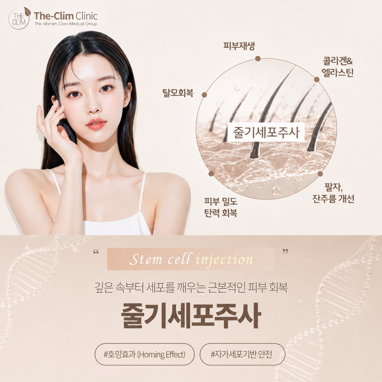 줄기세포